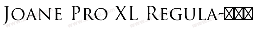 Joane Pro XL Regula字体转换